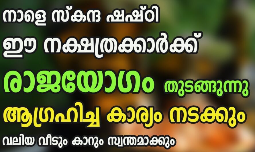 ഈ നക്ഷത്രക്കാർ ഇനി രാജാവിനെ പോലെ ജീവിക്കും, കോടീശ്വര യോഗം…