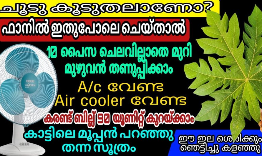 ഇനി എസി ഇടാതെ തണുത്ത് വിറയ്ക്കും, ഈ കിടിലൻ ടെക്നിക്ക് അറിയാം…