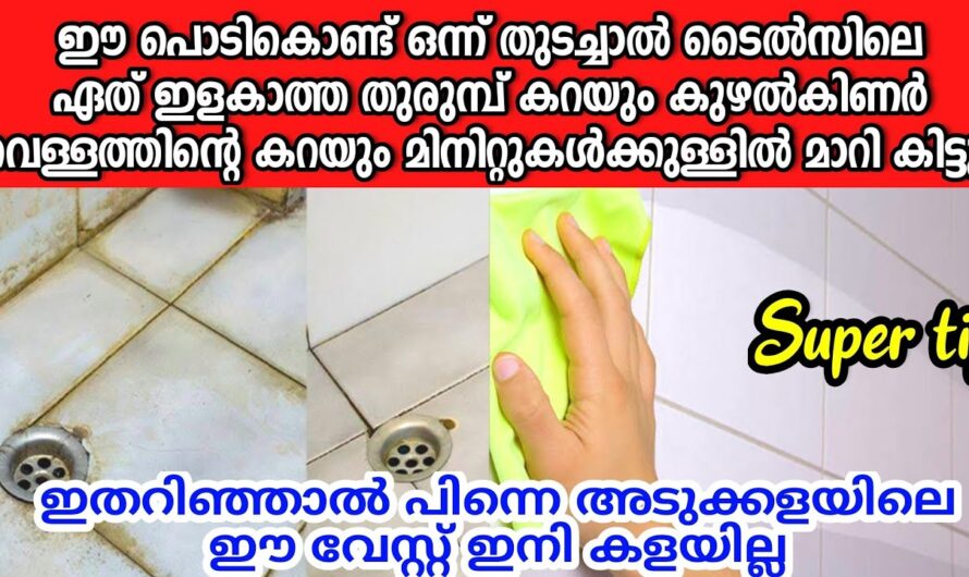 വീട് മുഴുവനും വെട്ടിത്തിളങ്ങാൻ ഒരു മാജിക്കൽ പൗഡർ, 100% റിസൾട്ട് കിട്ടും…