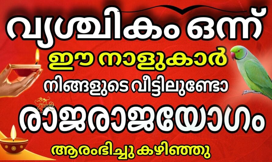 ഈ വൃശ്ചിക മാസത്തിൽ അയ്യപ്പസ്വാമിയുടെ അനുഗ്രഹം ലഭിച്ച നക്ഷത്രക്കാർ ഇവരാണ്, ഇവർക്ക് രാജയോഗം…