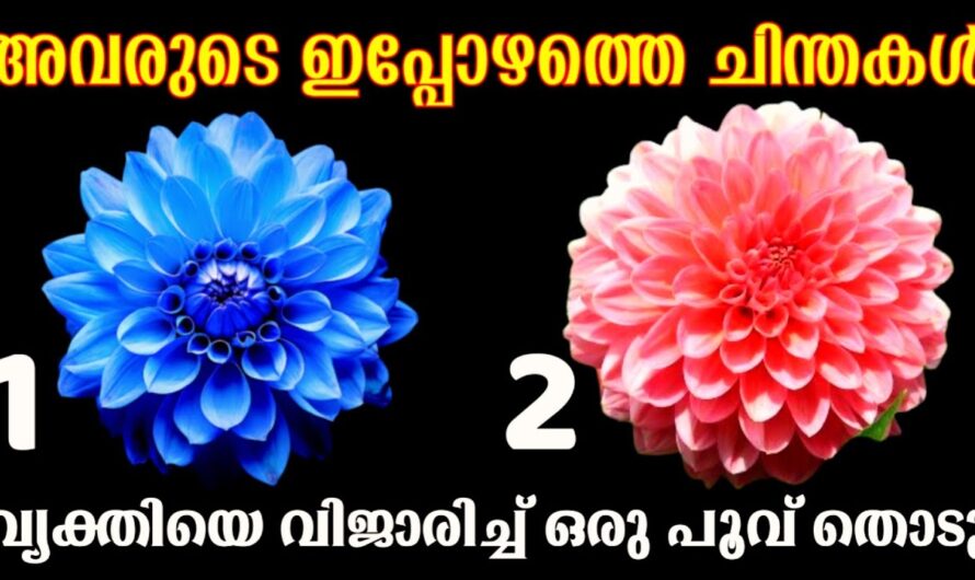 നിങ്ങൾ ഏറ്റവും സ്നേഹിക്കുന്ന ആ വ്യക്തി നിങ്ങളെ പറ്റി എന്ത് ചിന്തിക്കുന്നു! ഇതിൽ നിന്നും മനസ്സിലാക്കാം…