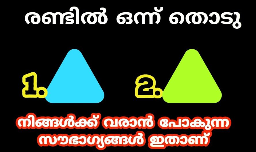 നിങ്ങളുടെ ഇഷ്ടപ്പെട്ട നിറം പറയും , ജീവിതത്തിൽ എന്ത് സംഭവിക്കും എന്ന്…