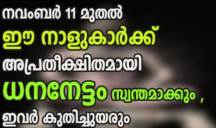 ഈ നാളുകാർക്ക് രാജയോഗം, ഇവരുടെ നേട്ടം ശത്രുക്കളെ പോലും ഞെട്ടിക്കും😱