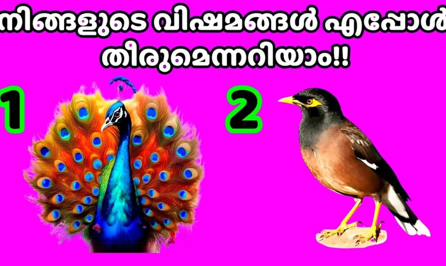 ഈ രണ്ട് ചിത്രങ്ങളിൽ നിന്ന് ഒന്നു തൊടു, നിങ്ങളുടെ ദുഃഖം എന്ന് അവസാനിക്കും?