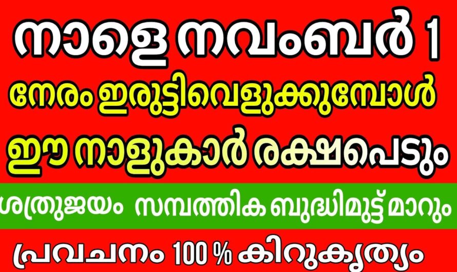 നവംബർ മാസത്തിൽ ഇവർ കോടീശ്വരന്മാർ, ഇതിൽ നിങ്ങളുടെ നാളുണ്ടോ