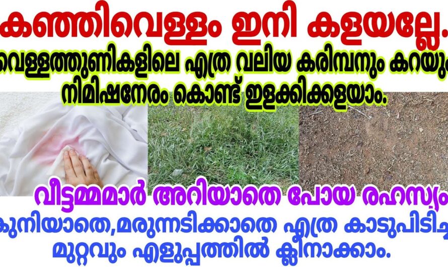 എത്ര കറപിടിച്ച വെള്ളത്തുണിയും പുതു പുത്തനായി മാറും, ആരും പറഞ്ഞു തരാത്ത ഒരു അടിപൊളി ടിപ്പ്